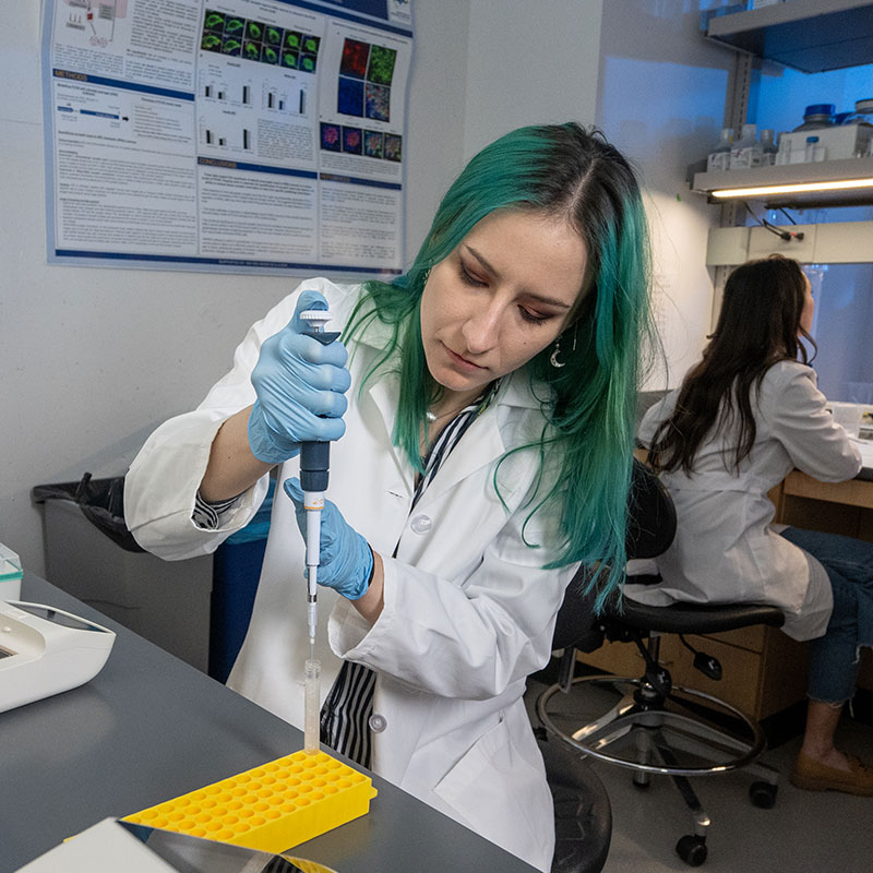 BHRI Undergraduate Fellows